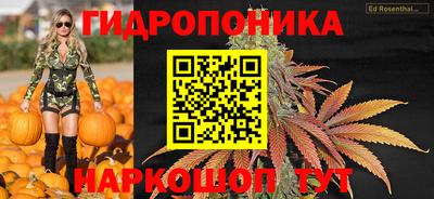 a pvp Кимры
