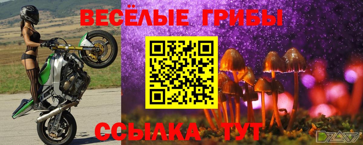 Азов  Псилоцибиновые грибы Cubensis  Вход с VPN  Галлюциногенные грибы GOLDEN TEACHER 