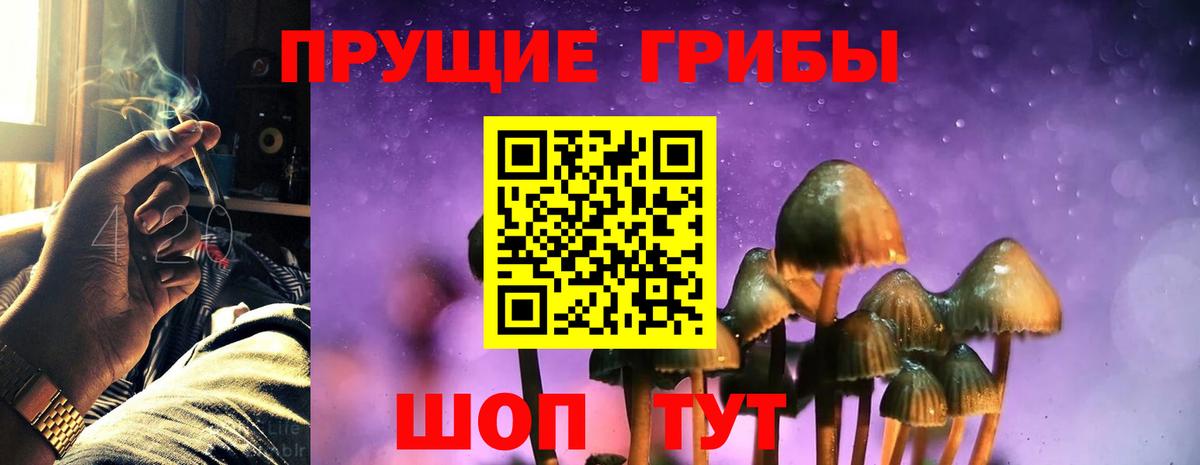 Галлюциногенные грибы мицелий Азов